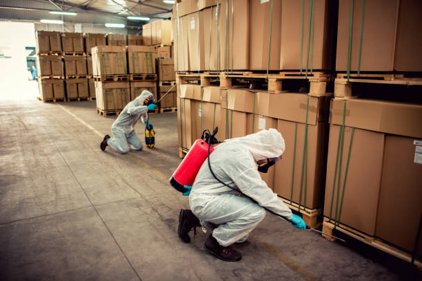Best Local Pest Control Services  in Lincoln, NE
