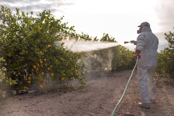 Best Affordable Pest Control Services  in Lincoln, NE